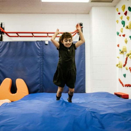 Страховочный мат Альпинист в спортивный зал ✅ хорошие характеристики Страховочный мат Альпинист в спортивный зал ✅ хорошие характеристики