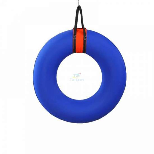 Качели тренажер Кольцо в сенсорную комнату