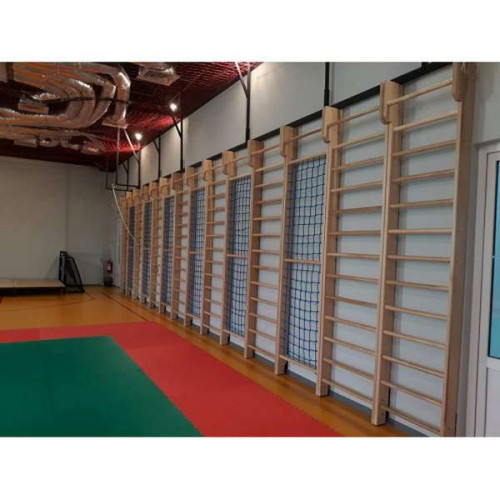 Шведская стенка 260см для спортивного зала в школу из ясеня ✅ хорошие характеристики Шведская стенка 260см для спортивного зала в школу из ясеня ✅ хорошие характеристики