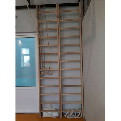 Шведская стенка 260см для спортивного зала в школу из ясеня ✅ хорошие характеристики Шведская стенка 260см для спортивного зала в школу из ясеня ✅ хорошие характеристики