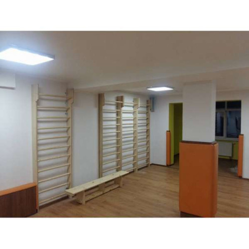 Шведская стенка 260см для спортивного зала в школу из ясеня ✅ хорошие характеристики Шведская стенка 260см для спортивного зала в школу из ясеня ✅ хорошие характеристики